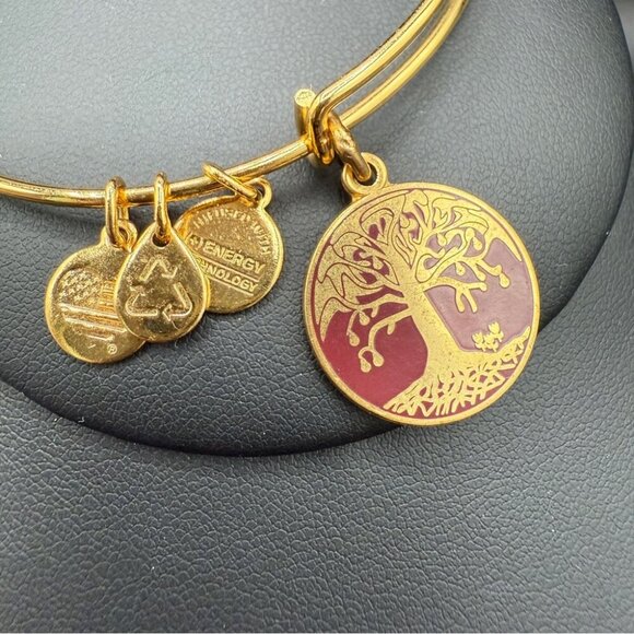 Alex and Ani Tree of Life 2015 Charm Bangle Bracelet - Picture 7 of 9